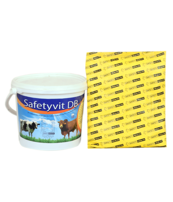 Safetyvit DB