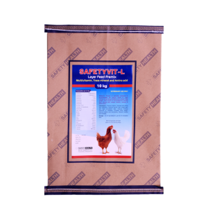 Safetyvit-L