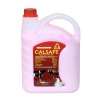 Calsafe
