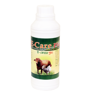 DSC_0178 E-Care Plus