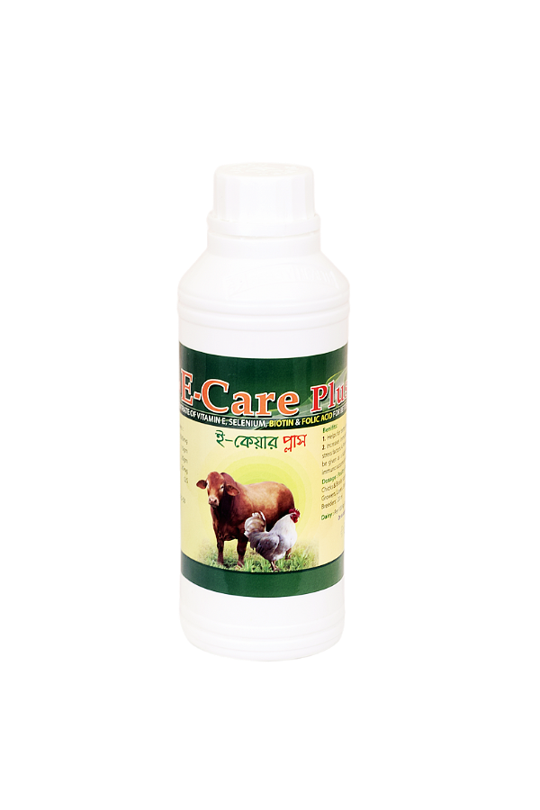 DSC_0178 E-Care Plus