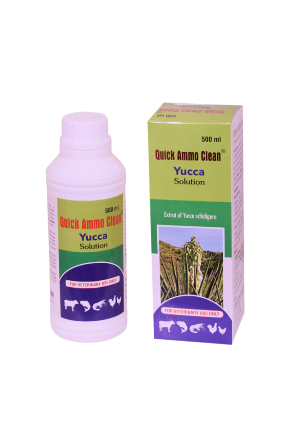 DSC_0207 Quick Ammo Clean