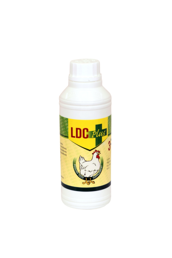 LDC Plus