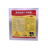 Boost Pro